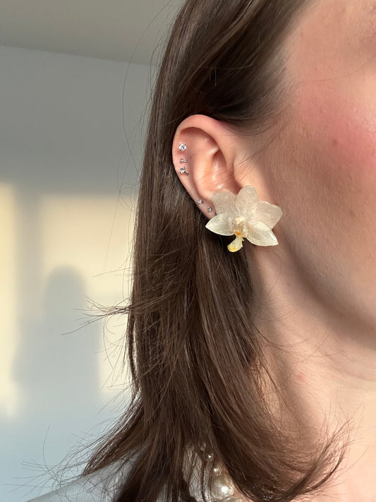 Orchid Kiss Earrings